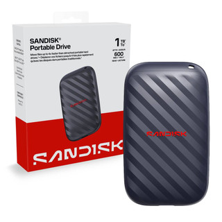 SanDisk PORTABLE SDSSDE10 1TB SSD 外接硬碟 固態硬碟 代理商 公司貨