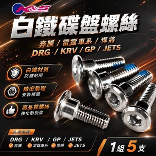 K&S 白鐵碟盤螺絲 白體304 碟盤 螺絲 適用於 DRG KRV JETS SR SL 雷霆S 奔騰 VJR 魅力