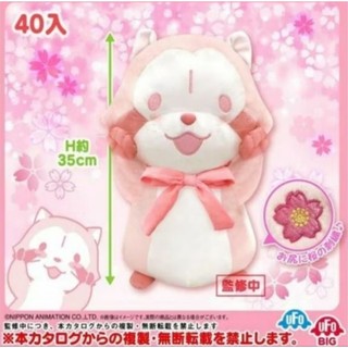 日版 Rascal 小浣熊 拉斯卡爾 世界名作劇場 櫻花限定款 櫻花小浣熊 景品 2020 櫻花 蝴蝶結 娃娃 玩偶