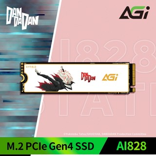 膽大黨｜AGI AI828 PCIe 4.0 1TB SSD（厄卡倫款）