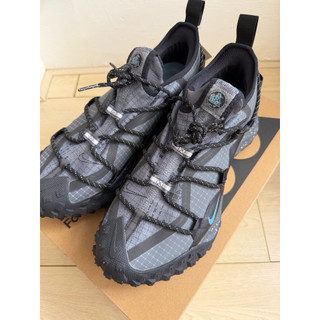ACG MOUNTAIN FLY GTX防水