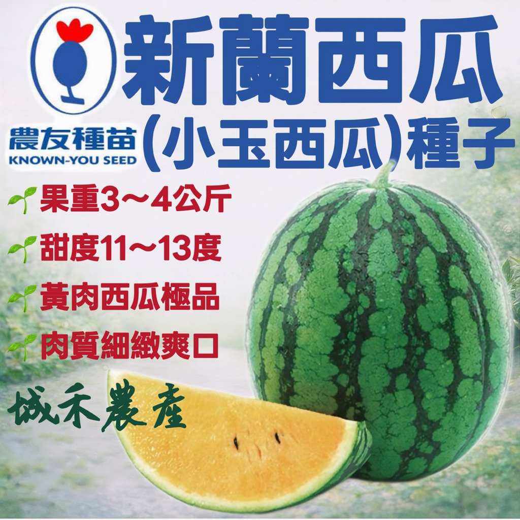 城禾農產🍃 農友新蘭西瓜種子 18粒 小玉西瓜種子 新蘭西瓜種子 黃西瓜種子 西瓜種子 黃肉西瓜種子 小玉西瓜種子
