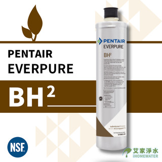-艾家淨水-【美國原裝】PENTAIR EVERPURE BH2 銀離子抑菌 濾芯 BH² 抑制水垢 濾心 平行輸入品