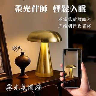 隔日達現貨 氛圍燈 金屬蘑菇燈 床頭燈 觸控燈 拍拍小夜燈 房間氣氛燈 無線 充電 柔和光纖 三擋調節 長續航一整晚