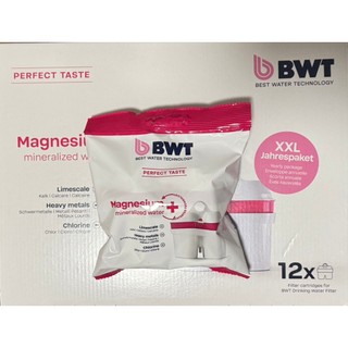 BWT原廠 鎂離子 濾芯 BWT濾芯 BWT濾水壺濾芯 倍世 濾芯器濾芯 BWT除鈣 鎂