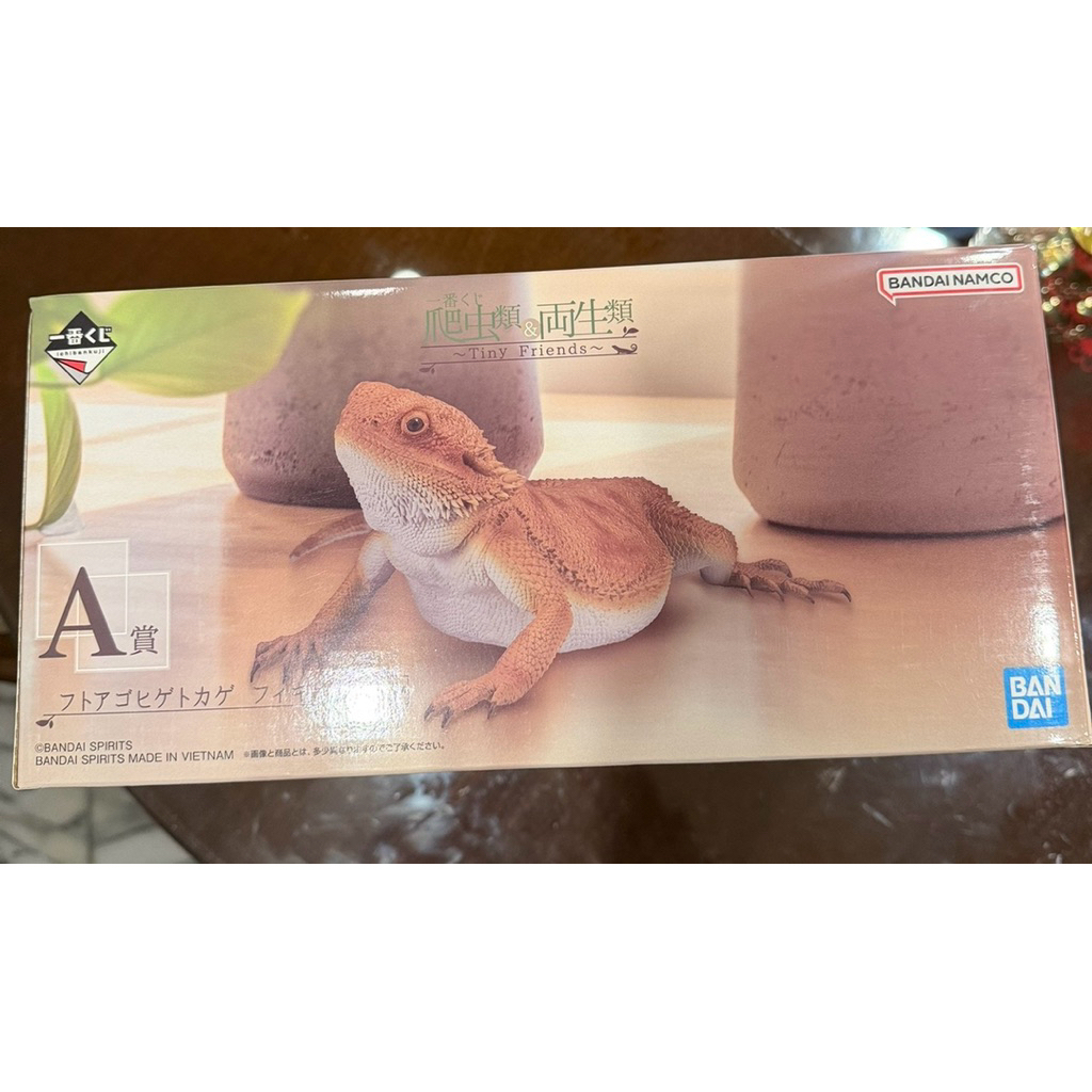 【全新未拆封】 一番賞 A賞 爬蟲類 與 兩棲類 迷你朋友 爬蟲類&兩棲類 日版 景品 公仔