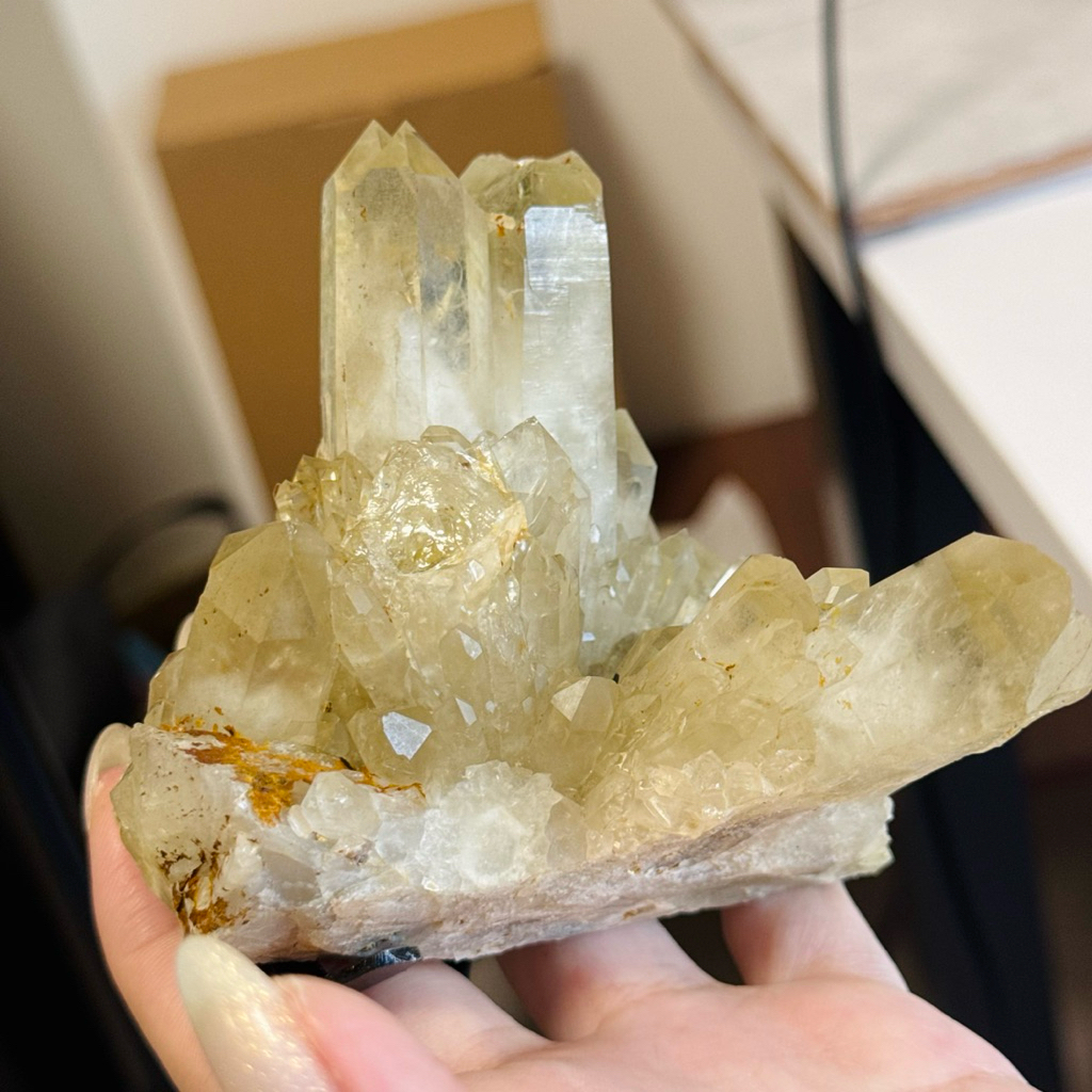 d款 天然黃水晶 透料 萌芽晶簇 黃水晶原礦8*9*16cm 附黑架 黃水晶擺件 優惠價 招財擺件 天然黃 現貨實拍