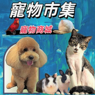 法國 皮樂 ➤草本 強效淚痕 清潔液 120 ml/罐➤Pilou 犬 貓 皆適用 毛髮清潔~附發票🌼寵物巿集🌼