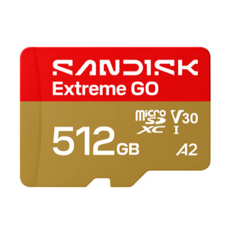 《sandisk 原廠 正版 高速 記憶卡 監視器可用》Extreme GO microSD UHS-I 高速 記憶卡