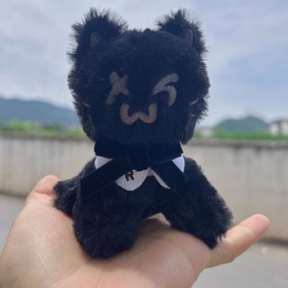 原廠款✨TWS娃娃 TWS娃專 TWS黑貓娃娃 TWS鑰匙圈 TWS包包掛件 TWS專輯娃娃 TWS掛件 申惟 金道勳