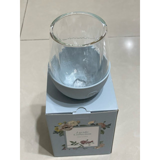美國 HYDY 雙層玻璃蛋型杯 240ml （股東紀念品）