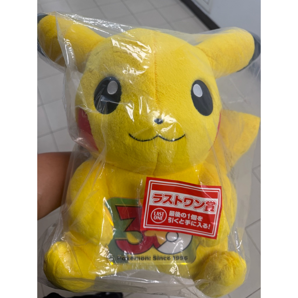 現貨秒發 日本寶可夢三十週年 一番賞 皮卡丘 Pokémon 30週年 火球鼠 菊草葉  水耀魚 寶可夢30週年 吊飾