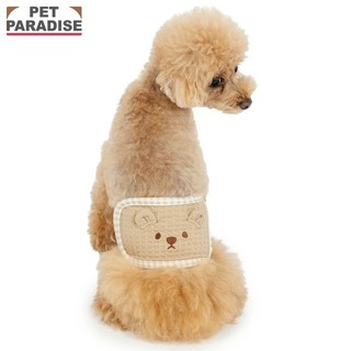 【PET PARADISE】寵物禮貌帶 (3S/SS/S) ｜PP熊熊 2026新款 公狗禮貌帶尿布 抗菌防臭 小型犬