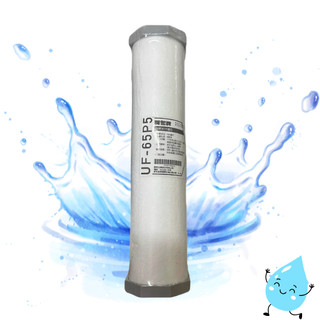 賀眾牌 UF-65P5 5微米P.P.濾芯