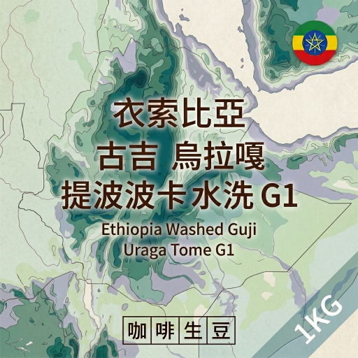 莉普森【咖啡生豆】2026產季■衣索比亞 古吉 烏拉嘎 提波波卡 水洗 G1 (水仙)