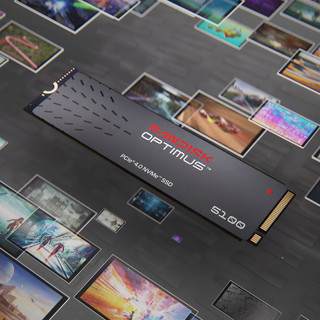 SANDISK Optimus 5100 NVMe 500G 1TB SSD M.2 2280 台灣代理商保固公司貨
