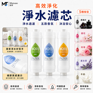 香氛蓮蓬頭濾芯 最快當日到貨 蓮蓬頭濾芯 香氛濾芯 濾芯 淋浴過濾 除氯濾芯 香氛過濾器
