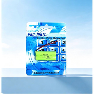 PRO-WATT華志 2.4V 800mAh / 2.4V 1300mAh 充電式無線電話專用電池