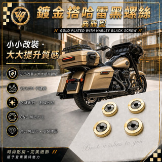 🚚 99元免運｜無包裝隔日到貨 🚚 典雅型 鍍金搭哈雷黑螺絲 車牌螺絲 牌照螺絲 大牌螺絲汽車牌照螺絲 不鏽鋼螺絲