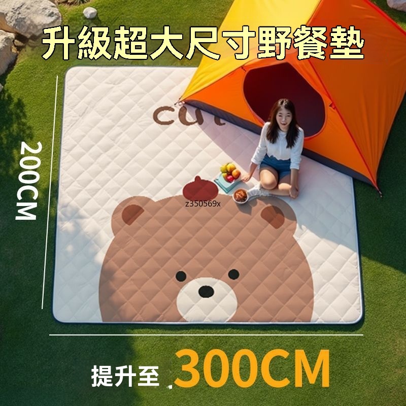 台灣出貨 超大號野餐墊 加厚露營墊 防潮墊 防水墊 錫箔墊 便攜式沙灘墊 帳篷地墊 野餐墊 草地墊 露營地墊 遊戲墊