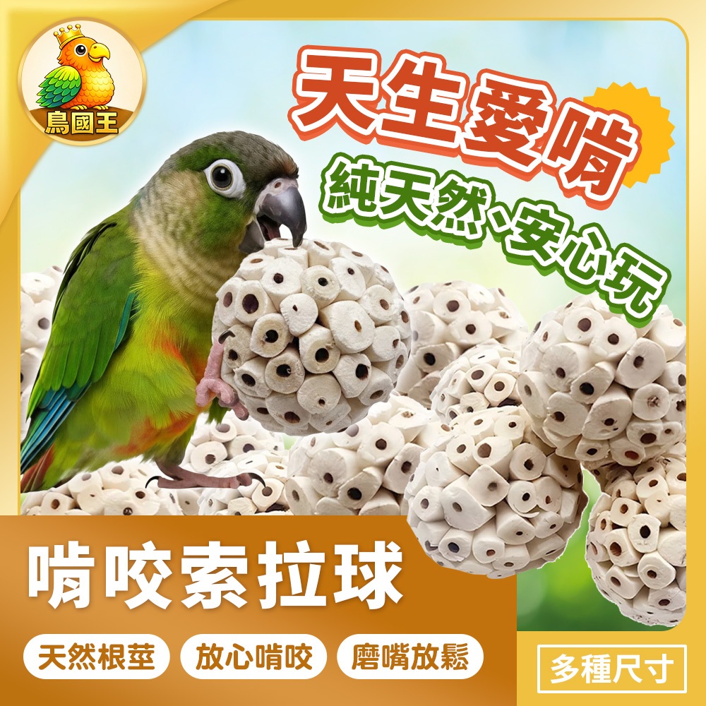 【鳥國王】鸚鵡啃咬索拉球 鳥類啃咬球 索拉球 鳥類磨牙用品 鳥類解悶玩具 鸚鵡啃咬玩具 鸚鵡玩具 鸚鵡用品 鳥用品