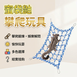 【小囧家】現貨 蜜袋鼯攀爬玩具 解悶互動 爬行玩耍 訓練自粘平台 鸚鵡啃咬 解悶用品