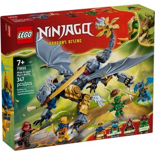 LEGO 71855 忍者龍阿隆之戰 Ninja Dragon Riyu's 樂高® Ninjago【必買站】樂高盒組