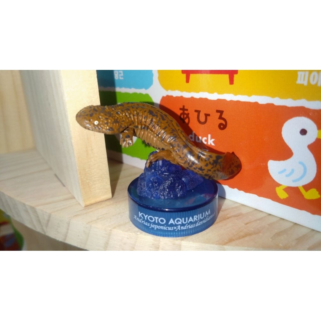 海洋堂 京都水族館 日本大鯢/大山椒魚 兩棲綱有尾目隱鰓鯢科 瓶蓋扭蛋 已拆含蛋紙 日本水族館立體生物 擬真模型 奇譚
