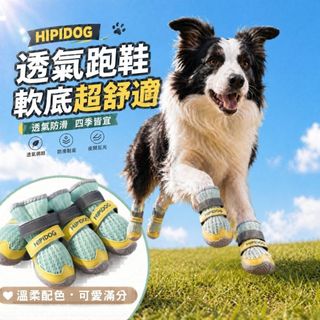 寵物透氣酷跑鞋 軟底舒適合腳 三明治網布透氣不悶熱 適合夏季 外出防燙 寵物鞋 寵物止滑 遛狗 防污防髒 保護肉球