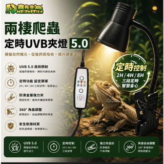 爬蟲先生 USB 兩棲爬蟲定時UVB夾燈 5.0 補鈣 曬燈 紫外線燈 日守宮 雨林 陸龜 TU-D-500