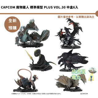 CAPCOM 魔物獵人 標準模型 Plus Vol.30 中盒6入 預購27/1月【皮剋星】持續收單