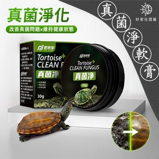 真菌淨軟膏🔥烏龜殼保養🔥龜殼保濕 龜殼保養 龜殼保護 烏龜保養 好家在園藝