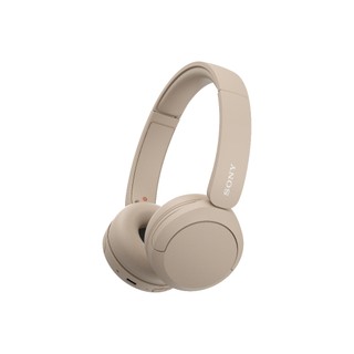 免運到家 【原廠公司貨】酷玩音樂 SONY 藍牙耳機 WH-CH520