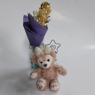 ShellieMay雪莉玫小玩偶，正品