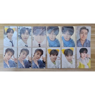 SUPER JUNIOR SS10 SUPER SHOW 10 日周 小熊餅乾 小卡