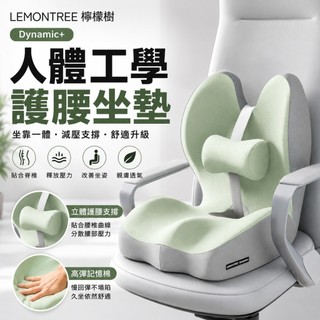 【LEMONTREE】坐靠一體 護腰墊 減壓護腰 久坐神器 人體工學坐墊 辦公椅靠墊 腰靠靠墊 腰部支撐坐墊【宅野】