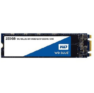 WD 威騰 藍標 SN550 250GB/500GB M.2 PCIE SSD固態硬碟