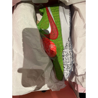 Nike LeBron 20 lbj 20 us12 聖誕