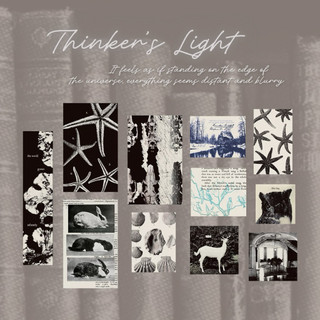【選品分裝｜貼紙包】Thinker’s Light｜手帳・禮物包裝・日常裝飾・出物必備・文創包材