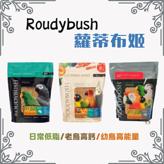 【現貨】Roudybush 蘿蒂布姬 鸚鵡滋養丸 鸚鵡飼料 日常維護滋養丸 鳥滋養丸 鳥飼料 老鳥高鈣 日常低脂滋養丸