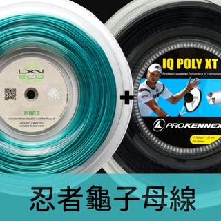 DR.String-忍者龜 子母線 網球線 咬球 旋轉 爆發 尾勁 線博士推薦