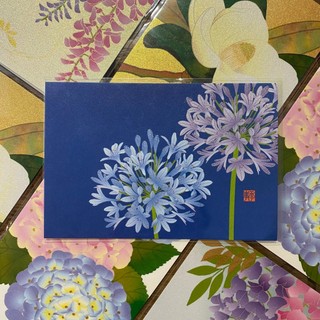 《2026初夏新品》MIDORI 紙系列｜明信片4款｜越前和紙｜燙金工藝｜季節花卉｜日本名藝｜全新現貨｜日本製正版