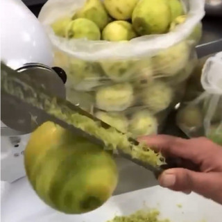 JR精選削檸檬皮輔助神器(需搭配KITCHENAID攪拌機及細刨刀使用) KM800 快速削檸檬皮