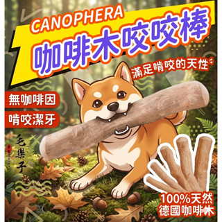 ⚡毛樂子寵物⚡【德國CANOPHERA】天然咖啡木咬咬棒 |磨牙棒 耐咬玩具 啃咬玩具 磨牙玩具 狗狗啃咬