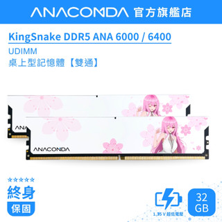 【玩家首選】巨蟒 DDR5 記憶體 6000／6400 32GB (16GB×2) UDIMM｜KS 安娜 ANA