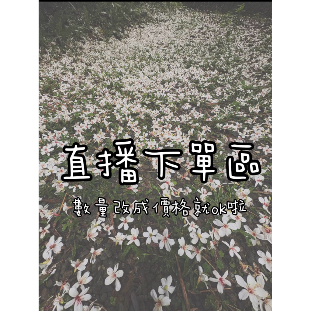 V貳號飾品-1元直播下單區