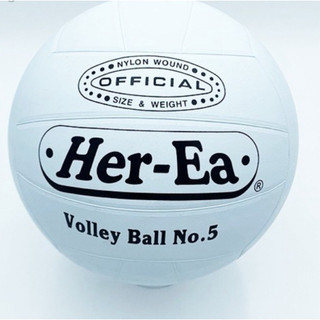 「台灣現貨」Her-Ea 禾亦 排球 Volley Ball No.5 運動 親子互動 戶外活動 球類