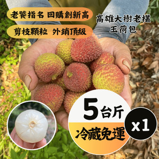 【預購優惠🔥】外銷頂級玉荷包34mm以上｜嚴選老欉・顆粒裝🍒5斤禮盒｜黑貓冷藏・產地直送(1盒~4盒下單連結)