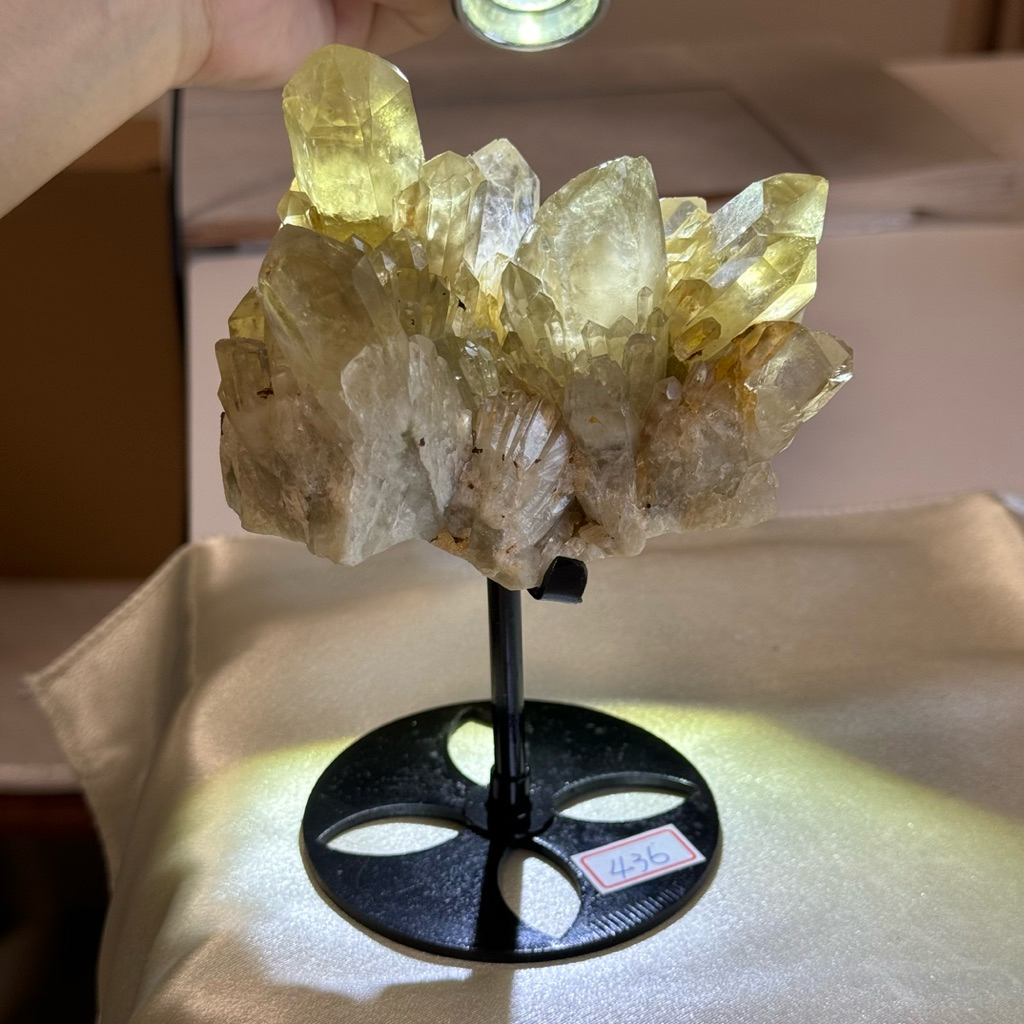 a款 天然黃水晶 透料 萌芽晶簇 黃水晶原礦8*9*16cm 附黑架 黃水晶擺件 優惠價 招財擺件 天然黃 現貨實拍
