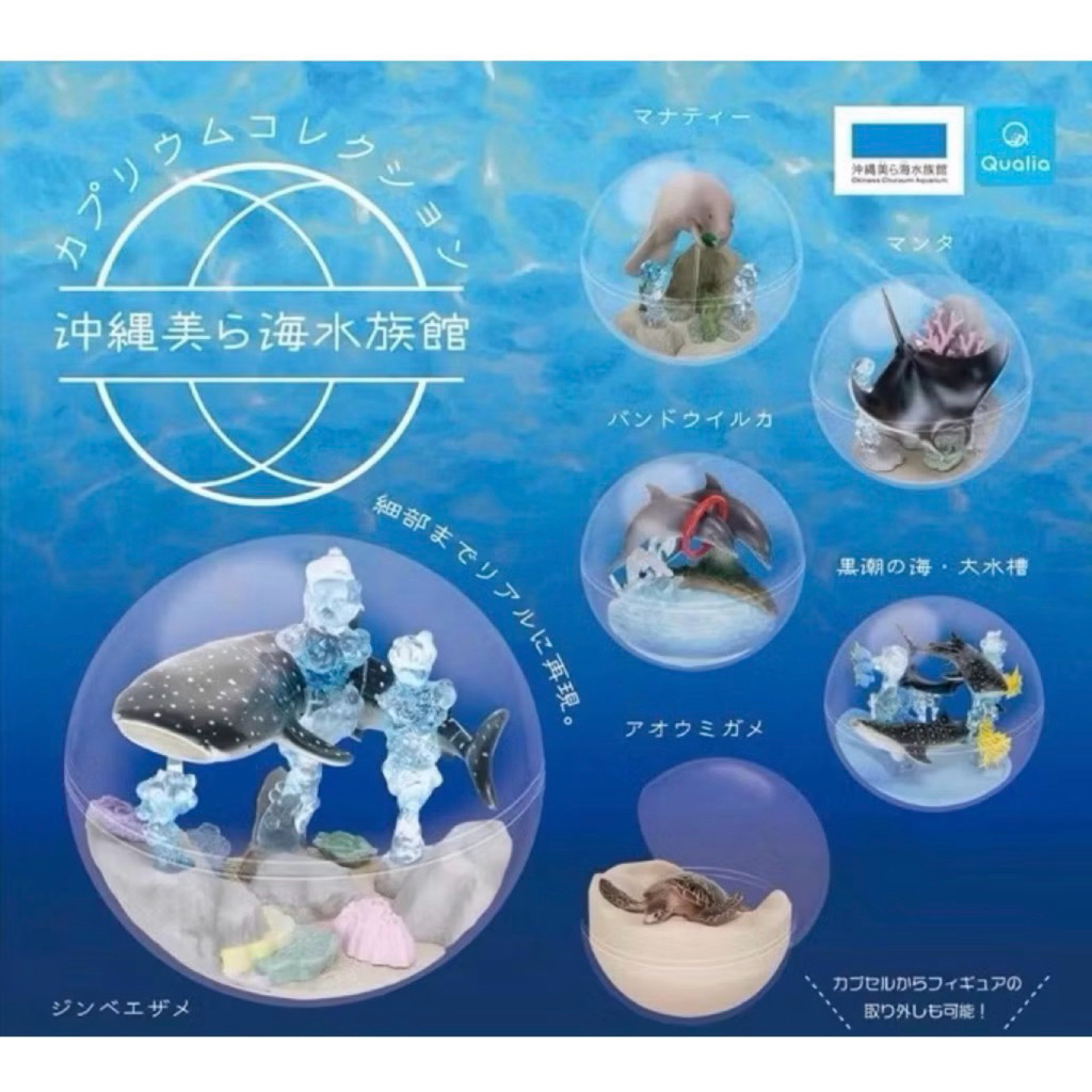 沖繩美麗海生館 扭蛋 海豚 海龜 海牛